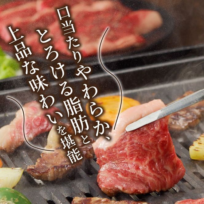 神戸牛カルビ焼肉700g 【2402A00214】