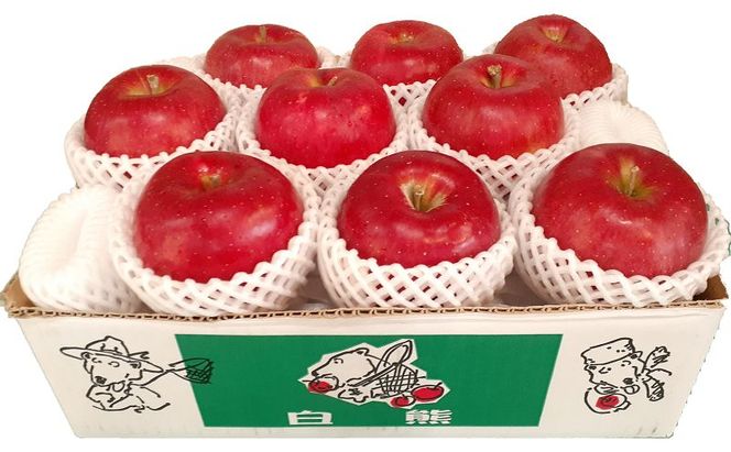 鶴田町　25年3月おすすめ返礼品！初夏までおいしい理由がある！【5月発送クール便】白熊 贈答用シナノスイート約3kg スマートフレッシュ 糖度13度【青森りんご 果物 フルーツ 果物類 デザート 食後 おやつ 青森のりんご 】