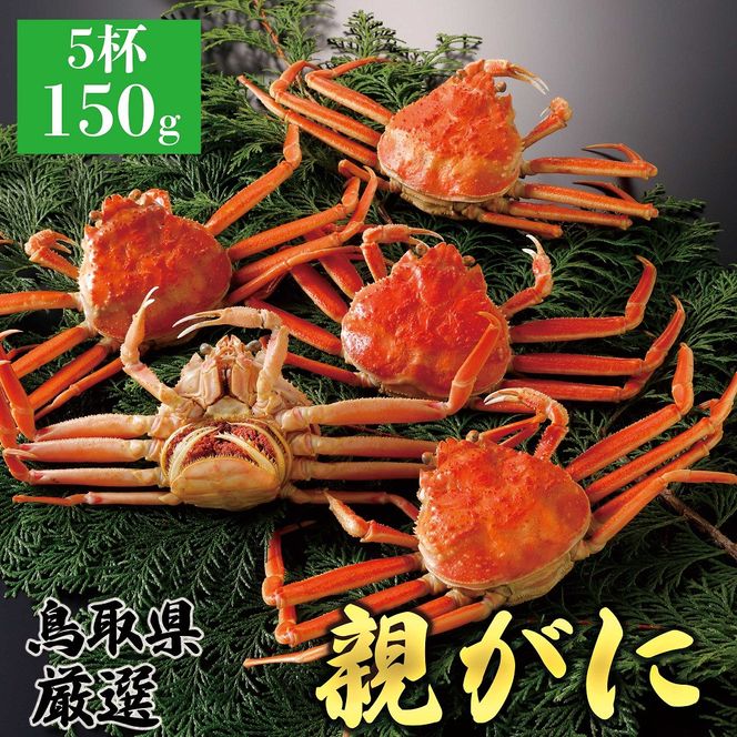 y挧khz1062.y2025N11z挧Y  e pyZRKjzi䥁j150g 5t 313726_BS064