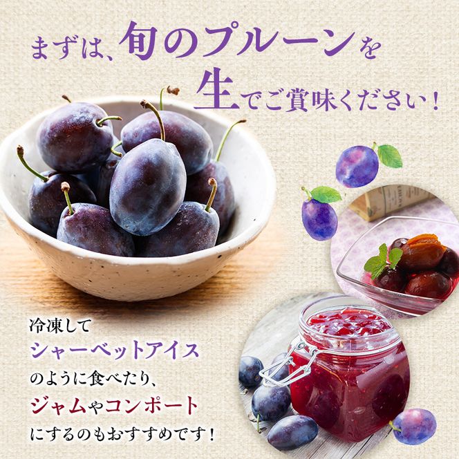 [先行受付/2026年] 仁木町の採れたて「サンプルーン」サイズ混載 2kg（500g×4パック） 北海道 仁木 果物 フルーツ プルーン [フルーツショップ妹尾観光農園]