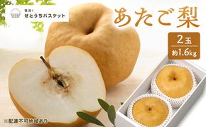 梨 2027年 先行予約 あたご梨 2玉 約1.6kg ナシ なし 岡山県産 国産 フルーツ 果物 直送！せとうちバスケット