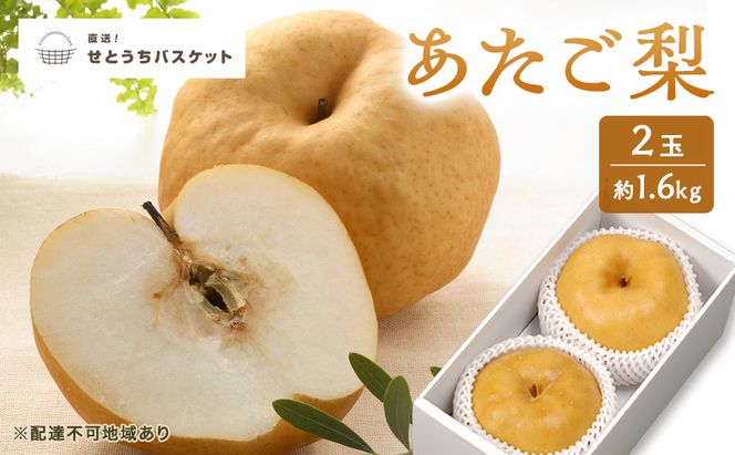 梨 2027年 先行予約 あたご梨 2玉 約1.6kg ナシ なし 岡山県産 国産 フルーツ 果物 直送！せとうちバスケット