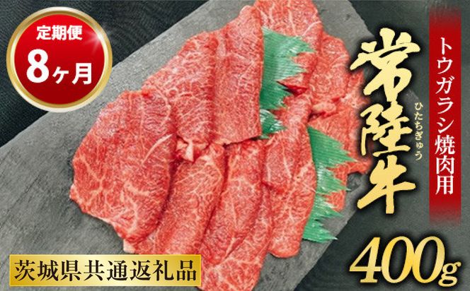 【定期便 8ヶ月】【希少部位】常陸牛トウガラシ焼肉用400g（茨城県共通返礼品 茨城県産）