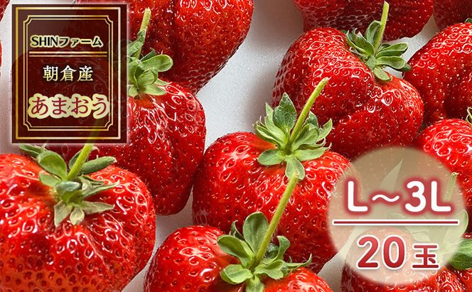いちご 朝倉市産 あまおう L～3L 20玉 イチゴ 苺 果物 デザート ＜SHINファーム＞ ※配送不可：離島 