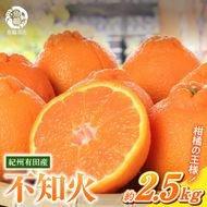 【2027年先行予約】紀州有田産 不知火 (しらぬひ) 2.5kg_G7108