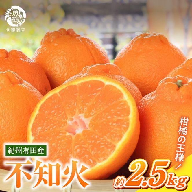 【2027年先行予約】紀州有田産 不知火 (しらぬひ) 2.5kg_G7108