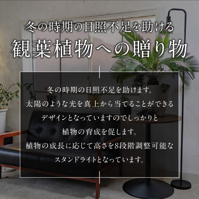 植物育成LEDライト|Stand-PL 15W ［172C23］植物 育成 LED ライト Stand-PL 高さ 調整可能 シンプル インテリア 雑貨 植物ライト 育苗 スタンド 日照不足 光合成 観葉植物 多肉植物 室内 でんらい 愛知県 小牧市 送料無料