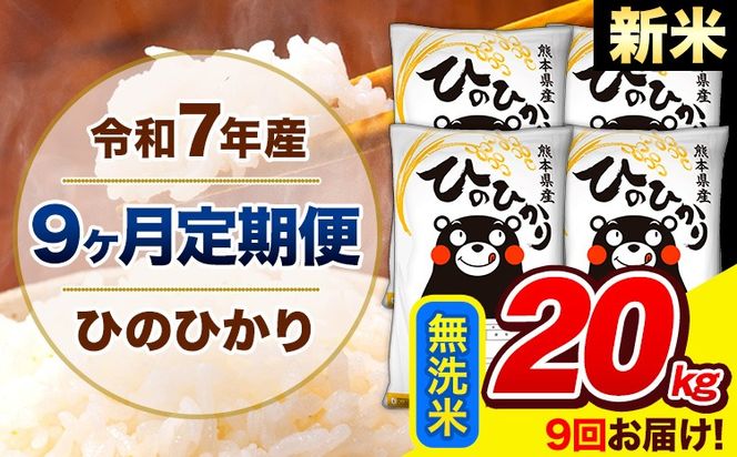 新米 令和7年産 ひのひかり 【9ヶ月定期便】 無洗米 20kg (5kg×4袋) 計9回お届け 《お申込み翌月から出荷》 熊本県産 精米 ひの 米 こめ お米 熊本県 長洲町---hn7tei_436500_20kg_mo9_ng_m---