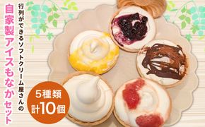 ＜アイスもなか 5種10個セット＞2か月以内に順次出荷【c592_sn_x3】 アイス 自家製 セット