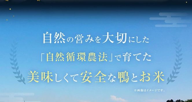 【ふるさと納税】「但馬鴨」鴨鍋セット（大） 玄米うどん付き 鴨肉 360g つくね 130g 計490g 20000円 2万円 玄米 うどん 2玉 出汁 ダシ つゆ 1200ml 鴨鍋 但馬鴨 鍋 セット お取り寄せ 国産 冷凍 【配送不可地域：離島】【1537944】 兵庫県 新温泉町 送料無料
