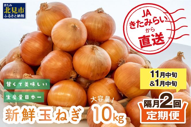【隔月2回(11月・1月)定期便】JAきたみらいから直送する新鮮玉ねぎ 10kg Lサイズ以上 ( 野菜 定期便 玉葱 たまねぎ 期間限定 )【999-0118-2026】