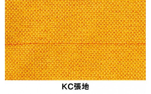 イトーキ『バーテブラ03』5本脚  抵抗付きウレタンキャスター KC張地：ゼスト(KG825KCM1L44CF)【EI140W1】
