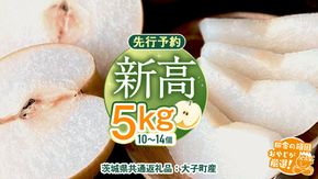 梨 新高 5kg（10〜14個）【2026年10月より発送開始】（茨城県共通返礼品 [梨]：大子町産）田舎の頑固おやじが厳選！ なし 新高梨 和梨 フルーツ 果物 くだもの 高糖度 ギフト 茨城 [BI306-NT]