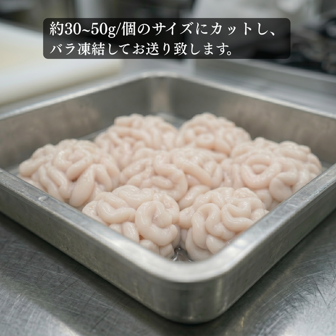 真タラ 白子 1kg (500×2) しらこ 冷凍 生 カット済み 真たら バラ 鱈 
