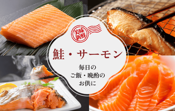 鮭・サーモン