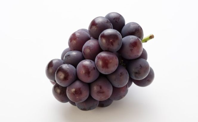 ぶどう 【2026年 早期受付】 オーロラブラック 2房 合計約1kg ブドウ 葡萄 岡山県産 国産 フルーツ 果物 ギフト [№5735-2087]