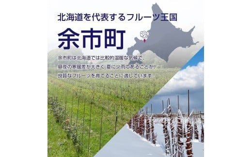 【先行予約：2026年8月中旬以降発送】【余市産無農薬】冷凍ブルーベリー 残留農薬検査済み 2026年収穫_Y155-0002