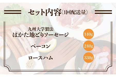 【全12回定期便】糸島の陽光ハムセット2 志摩スモークハウス[AOA013] 詰め合わせ ギフト ソーセージ お歳暮 お中元