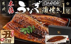【丑の日】職人手焼きの本格うなぎ蒲焼き1尾≪7月20日～25日お届け≫_LG8-33-003-1-UG 