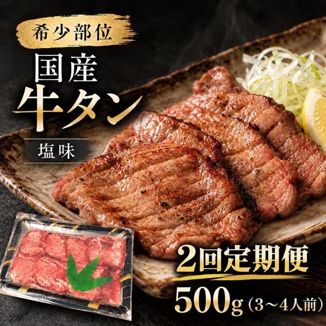 【全2回定期便】 希少部位 国産 牛タン 塩味 500g (3～4人前) 焼肉 BBQ 家族 大河原町