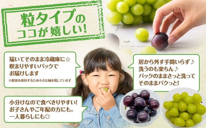 【先行予約】 ぶどう食べ比べパック 約300g×4パック (訳あり粒タイプ) 2026年10月上旬より順次発送 粒パック シャインマスカット バイオレットキング 巨峰 ピオーネ マイハート ゴルビー クイーンニーナ 家庭用 オススメ 福島県 田村市 ふくしま 鈴木農園 N046-008-R8