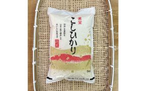 【ふるさと納税】お米　令和7年産　出雲コシヒカリ5kg 322032_EH005