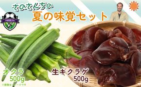 生キクラゲ500g オクラ500g セット 計1kg きのこ キノコ キクラゲ きくらげ おくら 野菜 生きくらげ やさい さのさんち JGAP認証農場 国産 調理 中華 スープ 肉巻き 天ぷら 夏 静岡県 藤枝市