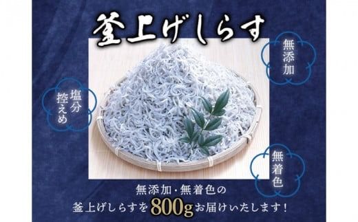 釜上げしらす 800g / しらす シラス 釜揚げ 魚 無添加 冷蔵 老舗