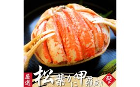 松葉がに 甲羅盛り 5個【11月中旬から入荷次第発送】 312011_FT012