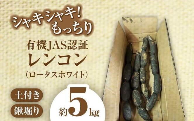 【先行予約】有機JAS認証　土付きレンコン　5kg れんこん 有機栽培　産地直送 野菜　愛西市/株式会社山三レンコン[AEBK004]