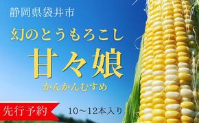 【先行予約】リピーター続出！とうもろこし【甘々娘】