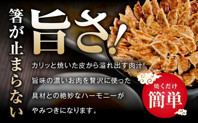 G3661 シン餃子 150個【手作り 小分け 25個×6P 惣菜 焼くだけ 簡単調理 おつまみ SDGS】