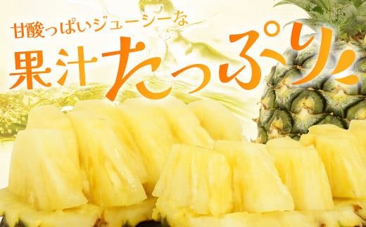 【先行予約】《2026年7月上旬頃より順次発送》石垣島産 ハワイ種パイン 3～4玉セット 約4.2㎏【 産地直送 石垣島産 石垣 完熟 パイン パイナップル 】TD-7