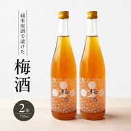 梅酒 純米原酒でつけた梅酒 720ml 2本 セット 果実酒 低アルコール 酒 富久錦 リキュール 洋酒 お酒 アルコール 梅 兵庫 兵庫県 加西市