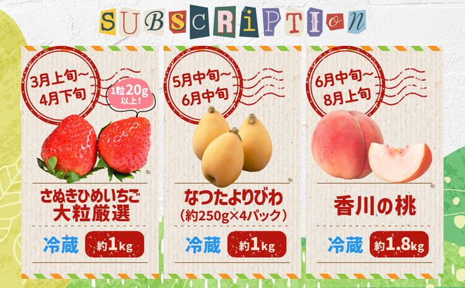 【12回毎月お届け】高松市自慢のフルーツ定期便【L】 372013_T006-776J