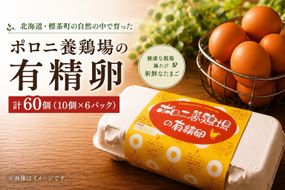 【ポロニ養鶏場】有精卵 計60個（10個×6パック）【 たまご ポロニ養鶏場 デザート ケーキ お菓子 標茶町 北海道 】 016641_AH005