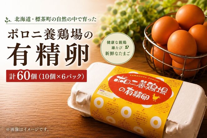 【ポロニ養鶏場】有精卵 計60個（10個×6パック）【 たまご ポロニ養鶏場 デザート ケーキ お菓子 標茶町 北海道 】 016641_AH005