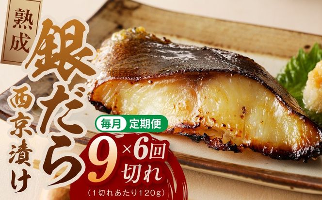 G5639 【定期便】銀鱈 西京漬け 120g×9切れ 全6回【厚切り 小分け 熟成 銀だら ぎんだら ギンダラ 海産物 魚 惣菜 西京焼き 味噌 お酒のあて 訳あり サイズ不揃い 切り落とし】