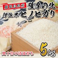 isa122 薩摩の北、伊佐米ヒノヒカリ(5kg) 都度精米した新鮮なお米をお届け！冷めても美味しい 米 お米 白米 精米 都度精米 ひのひかり 新鮮 冷めても美味しい【興農産業】