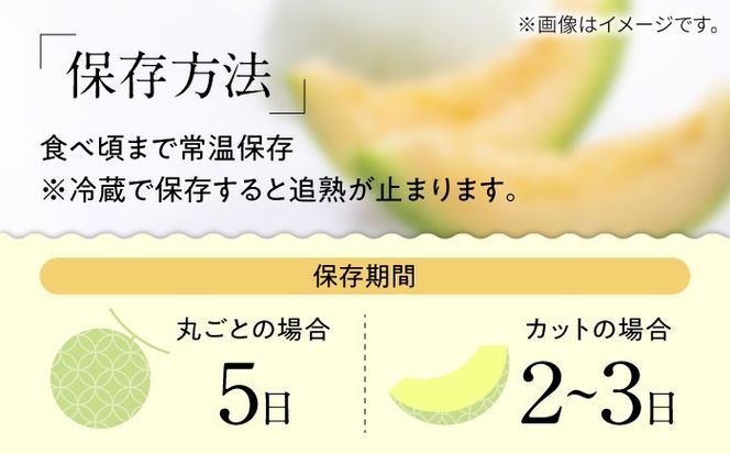 【2025年4月下旬～発送】【根強い人気!】訳あり プリンスメロン 約4kg×2箱 傷もの / メロン めろん 果物 フルーツ / 南島原市 / 南島原果物屋[SCV020]