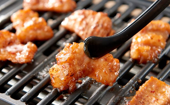 ＜訳アリ＞和牛ホルモン（大腸）　特製味噌漬け　0.9kg(300g×3） 141305_KZ23