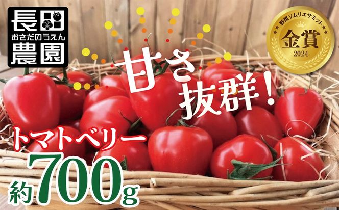 【先行受付】【お試し】甘さ抜群!トマト嫌いでも食べられるトマトベリー 700g（11月～2月発送） H004-183_Nov