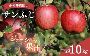 中松井農園のサンふじ　約10kg 長野 小諸 信州 リンゴ 林檎 果物類 りんご