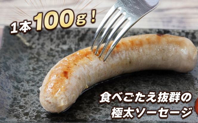 生ポークソーセージ　100g×15本入り　[冷凍食品 豚肉 特大]