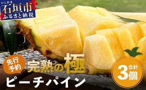 《2026年4月以降順次発送》【先行予約】最高糖度20度！？ 完熟の極 石垣島産パイナップル ピーチパイン3個セット【 沖縄 石垣島 石垣 八重山 パイン ピーチパイン 期間限定 数量限定 沖縄県 石垣島産 】TF-1-1_R8