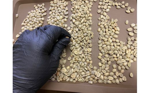 [やいたブランド認証品] 自家焙煎珈琲豆 YAITA BLEND《TSUTSUJI》(シティロースト) 100g×3袋【粉でお届け】｜SAKURA黒猫堂 珈琲 焙煎 コーヒー豆 矢板市 やいたブランド