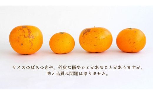 【みかんランキング1位獲得！】 訳あり せとか 3.5kg＋200g (傷み補償分)  大小混合 【2026年2月下旬から順次発送】 ご家庭用 家庭用 わけあり 訳アリ フルーツ 果物 くだもの 柑橘 せとか みかん ミカン 蜜柑 人気 予約 先行予約 数量限定 【njb682A】