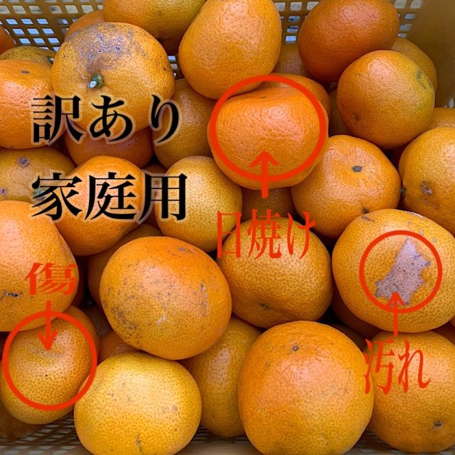 【先行予約】 有田みかん 家庭用 約5kg サイズ混合 和歌山県産