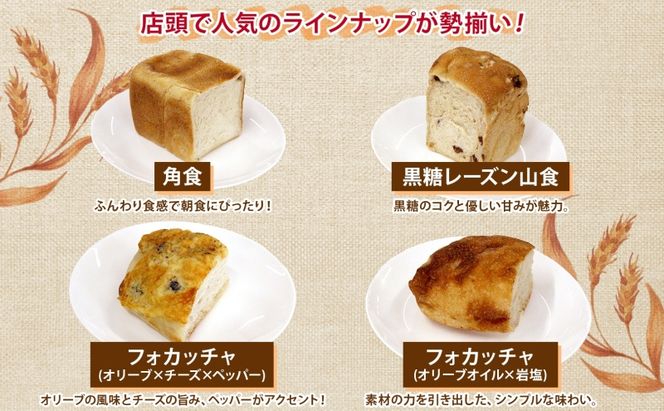 自家製酵母パン 人気の定番セット Mサイズ 2ヵ月連続お届け