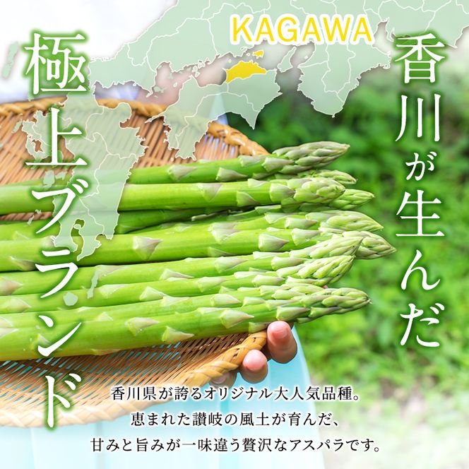 香川讃岐の毎月食べたい定期「2027年新物！さぬきのめざめ 1kg（2L～３L）」3ヶ月定期便